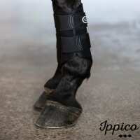 Read Ippico Reviews